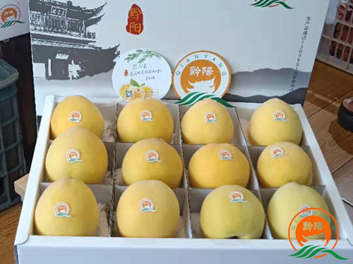 黔陽黃桃 黔陽黃桃