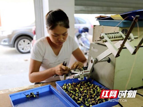 洪江市禹甜科技有限公司,農產品的批發(fā)零售 洪江市禹甜科技有限公司,農產品的批發(fā)零售