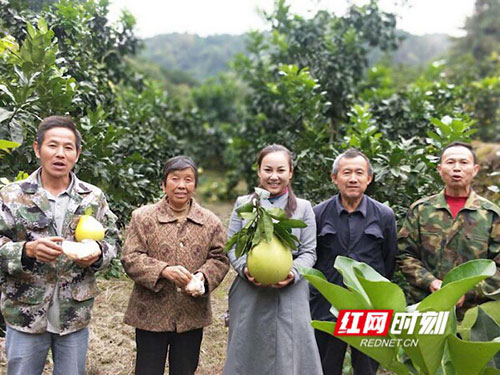 洪江市禹甜科技有限公司,農產品的批發(fā)零售 洪江市禹甜科技有限公司,農產品的批發(fā)零售